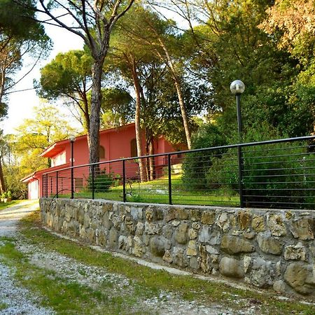 Agriturismo Poggio Al Pino Монтелупо-Фьорентино Экстерьер фото