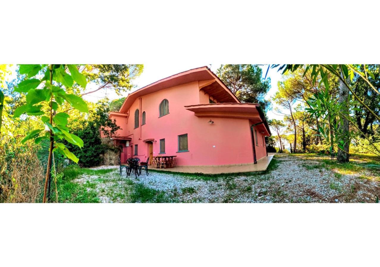 Agriturismo Poggio Al Pino Монтелупо-Фьорентино Экстерьер фото