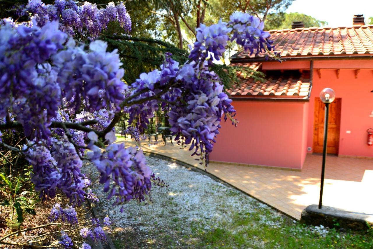 Agriturismo Poggio Al Pino Монтелупо-Фьорентино Экстерьер фото