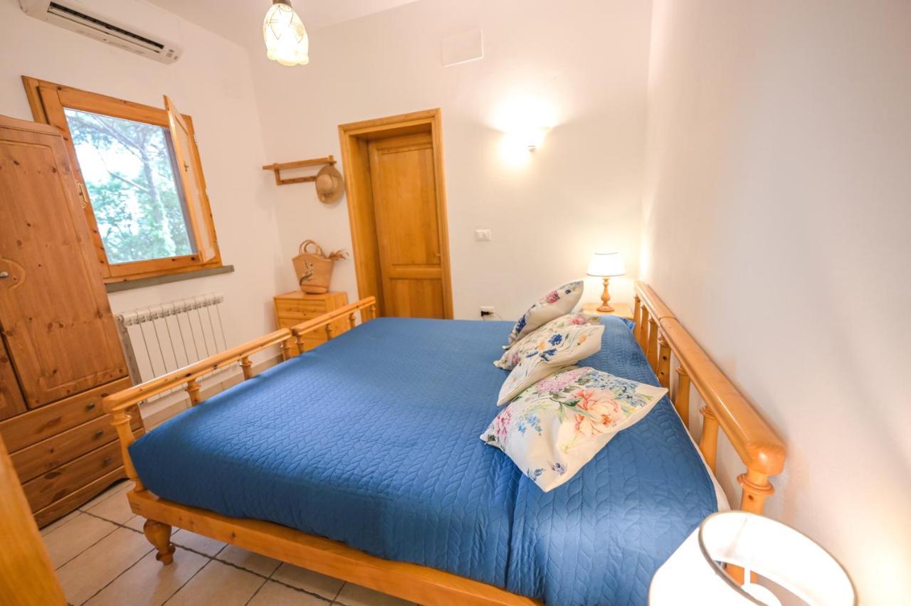Agriturismo Poggio Al Pino Монтелупо-Фьорентино Экстерьер фото