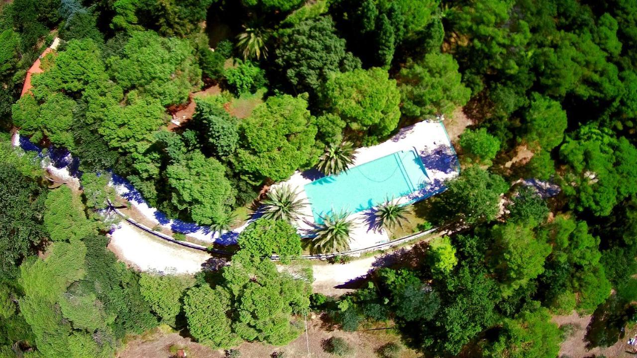 Agriturismo Poggio Al Pino Монтелупо-Фьорентино Экстерьер фото